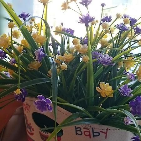 דירות Taitung Happy Sun מראה חיצוני תמונה
